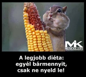 11096476_813441578733494_4008274817168761683_n