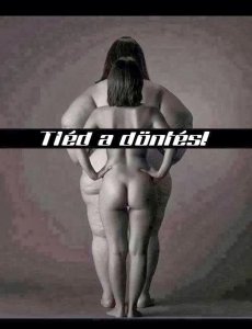 1458464_547758678640234_1929855099_n