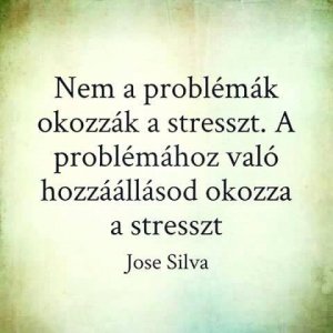 11825562_879738502079459_6940707642299921283_n