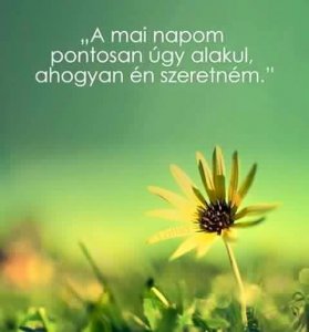 10390479_968123866585053_5066235745045095685_n