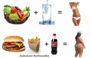 10603645_793776480752069_4020600725548467740_n